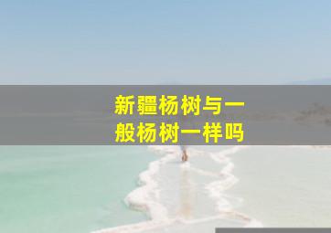 新疆杨树与一般杨树一样吗