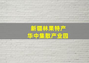 新疆林果特产华中集散产业园