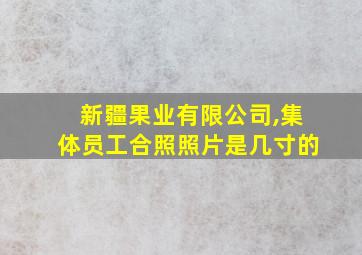 新疆果业有限公司,集体员工合照照片是几寸的