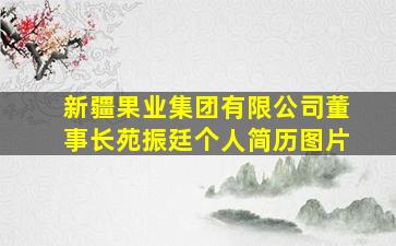 新疆果业集团有限公司董事长苑振廷个人简历图片