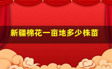 新疆棉花一亩地多少株苗