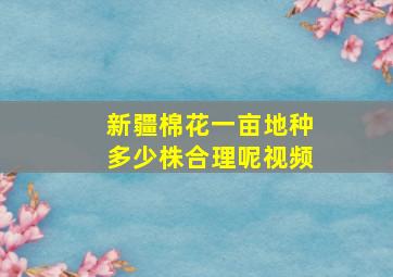 新疆棉花一亩地种多少株合理呢视频