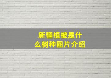 新疆植被是什么树种图片介绍