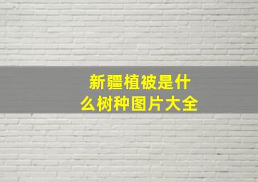 新疆植被是什么树种图片大全