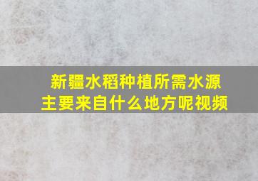 新疆水稻种植所需水源主要来自什么地方呢视频