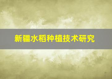 新疆水稻种植技术研究