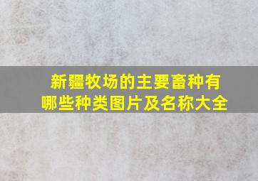 新疆牧场的主要畜种有哪些种类图片及名称大全