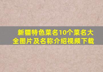 新疆特色菜名10个菜名大全图片及名称介绍视频下载