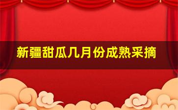 新疆甜瓜几月份成熟采摘