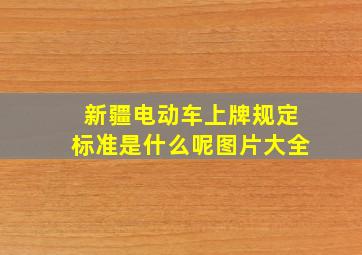 新疆电动车上牌规定标准是什么呢图片大全