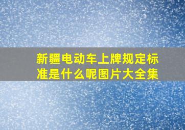 新疆电动车上牌规定标准是什么呢图片大全集