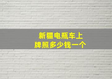 新疆电瓶车上牌照多少钱一个