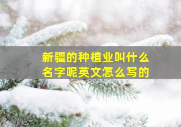 新疆的种植业叫什么名字呢英文怎么写的