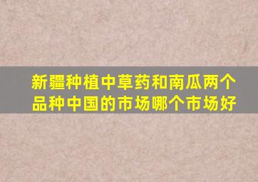 新疆种植中草药和南瓜两个品种中国的市场哪个市场好