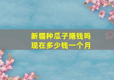 新疆种瓜子赚钱吗现在多少钱一个月