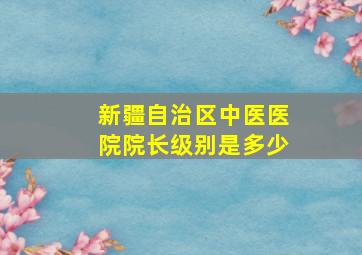 新疆自治区中医医院院长级别是多少