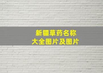 新疆草药名称大全图片及图片