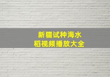 新疆试种海水稻视频播放大全