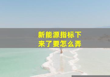 新能源指标下来了要怎么弄