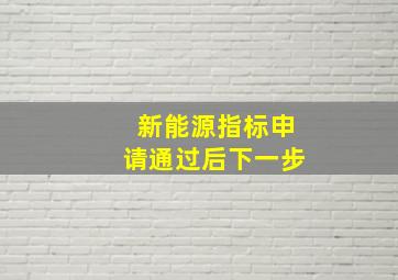 新能源指标申请通过后下一步