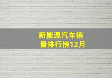 新能源汽车销量排行榜12月