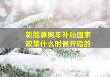 新能源购车补贴国家政策什么时候开始的