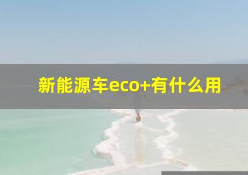 新能源车eco+有什么用