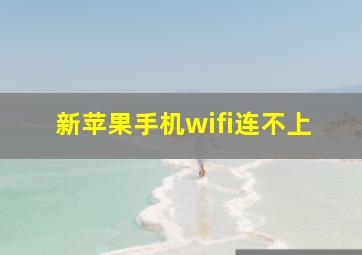 新苹果手机wifi连不上