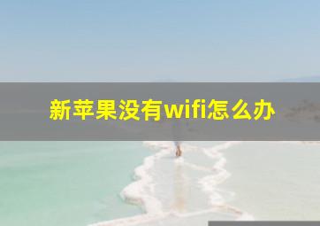 新苹果没有wifi怎么办