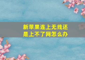 新苹果连上无线还是上不了网怎么办