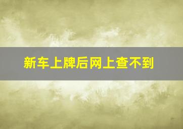 新车上牌后网上查不到