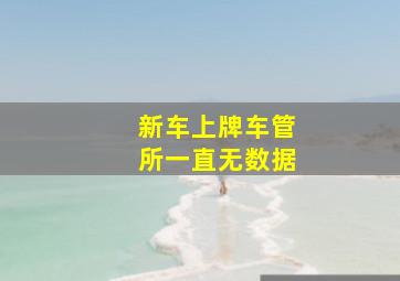 新车上牌车管所一直无数据