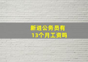 新进公务员有13个月工资吗