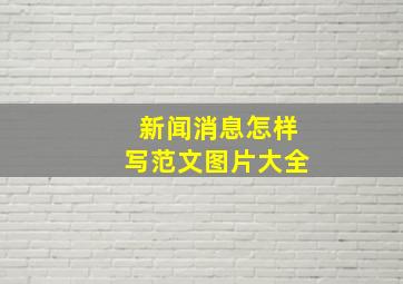 新闻消息怎样写范文图片大全