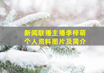 新闻联播主播李梓萌个人资料图片及简介