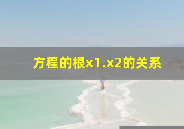 方程的根x1.x2的关系