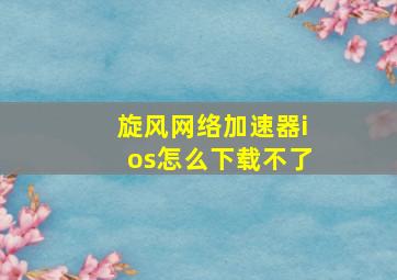 旋风网络加速器ios怎么下载不了