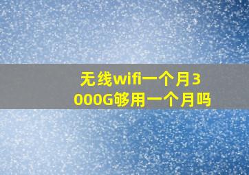 无线wifi一个月3000G够用一个月吗