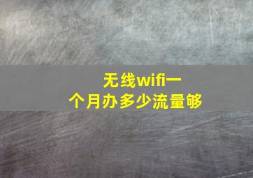 无线wifi一个月办多少流量够