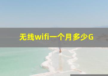 无线wifi一个月多少G