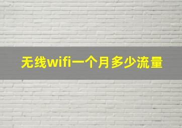 无线wifi一个月多少流量