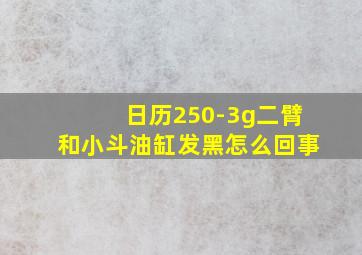 日历250-3g二臂和小斗油缸发黑怎么回事