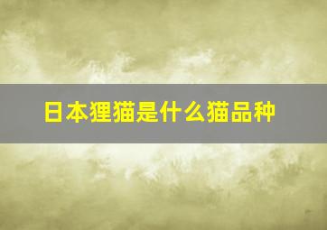 日本狸猫是什么猫品种