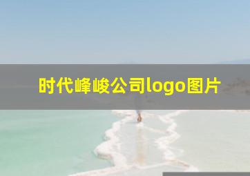 时代峰峻公司logo图片