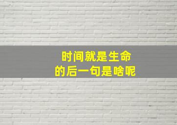 时间就是生命的后一句是啥呢