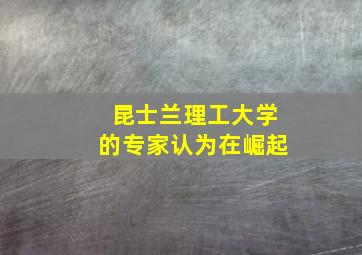 昆士兰理工大学的专家认为在崛起