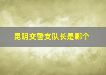 昆明交警支队长是哪个