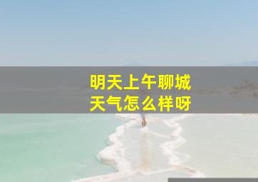 明天上午聊城天气怎么样呀