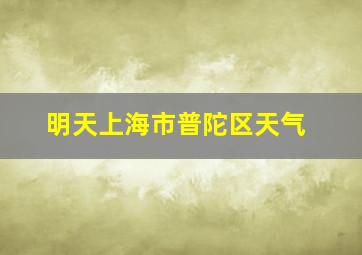 明天上海市普陀区天气