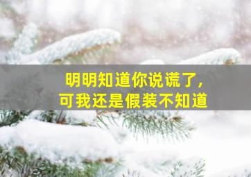 明明知道你说谎了,可我还是假装不知道